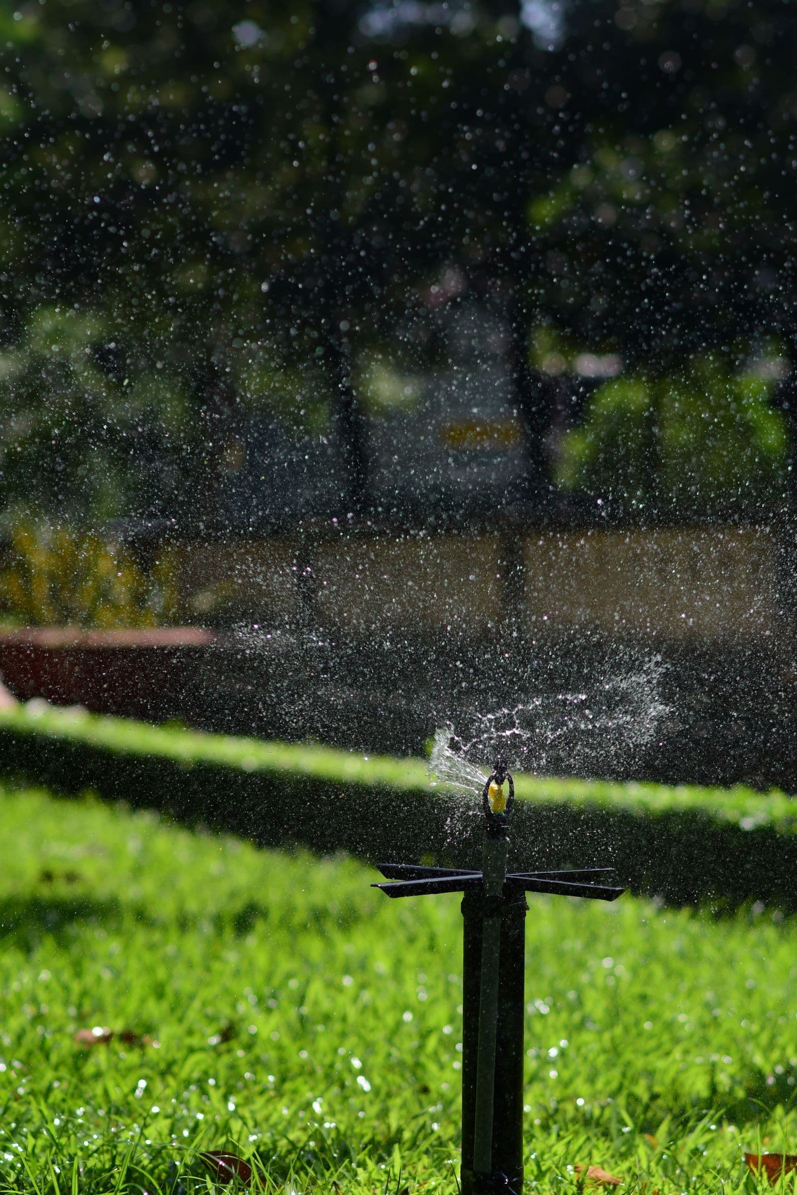 Pop-up lawn sprinkler spraying an even fan of water across a healthy green lawn